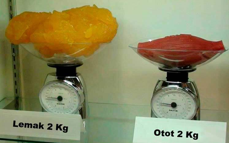 2 килограмма жира и 2 килограмма мышц