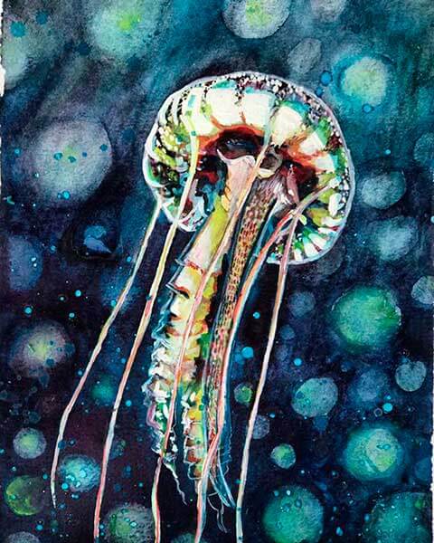 медуза акварелью