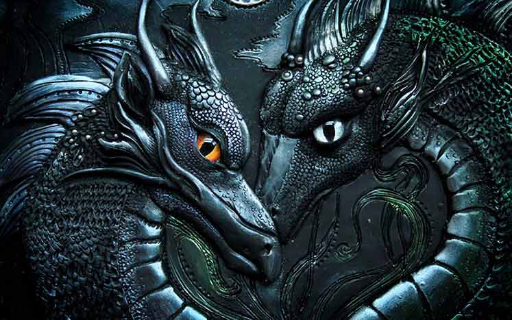 фэнтезийная обложка с драконами
