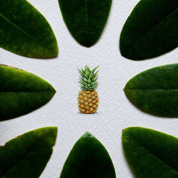миниатюрная картина ананаса