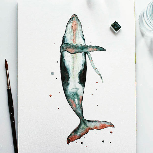 кит акварелью
