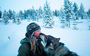 арктическая любовь