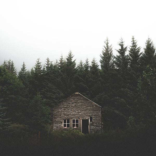 дом в лесу