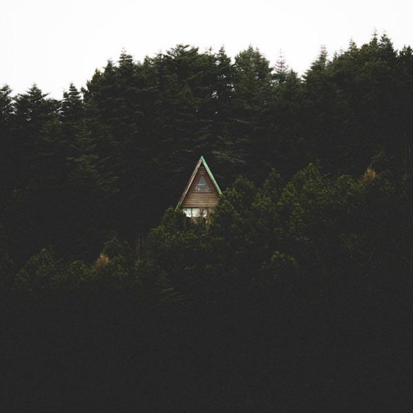 дом в лесу